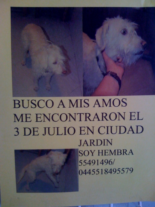 Encontrada