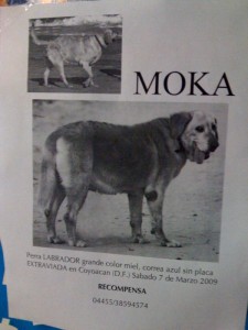 Moka