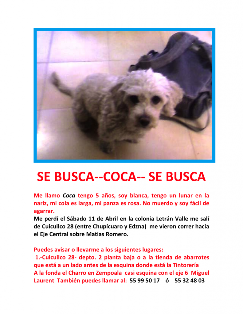 se-busca