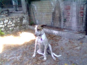 imagen014