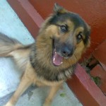 noid-Foto0055