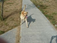 noid-DSC05888_200_150