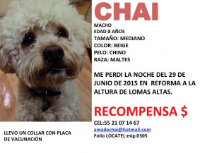 CHAI SE BUSCA