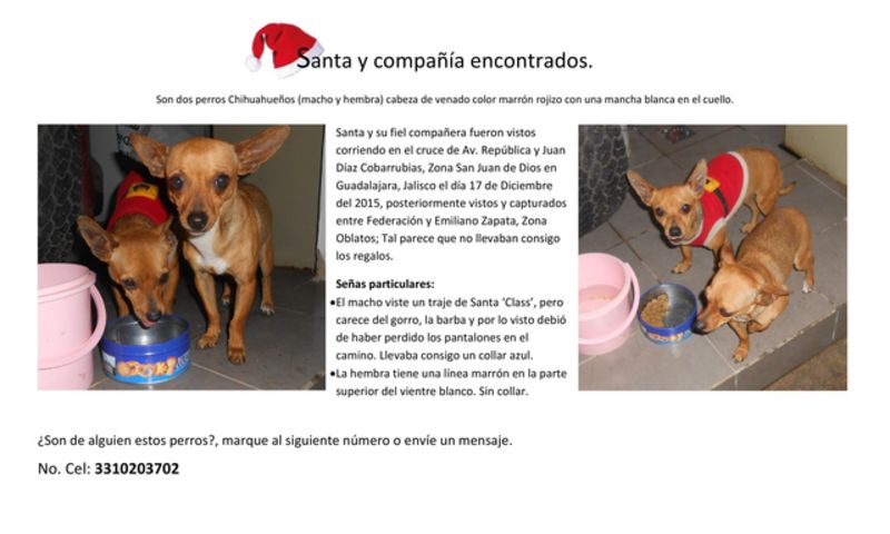 Santa y compañía encontrados web-page-001